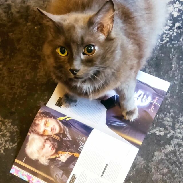 ⚡PLUGGED⚡
Quel bonheur pour Gaston de voir ses (co)locataires dans @plugged_magazine ! 😺 📰
Dans le n°63 Juin/Juillet 2024, disponible chez votre marchand de journaux!
Merci @antoineser ✏️ & @pveillet 📸 😙

@agence.singularites @pool_mgmt @dittomusic @lalouline @ragetour @melekpublishing